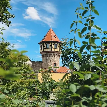 Traube Rheinhessen Hotel Worms