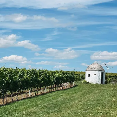 Traube Rheinhessen *