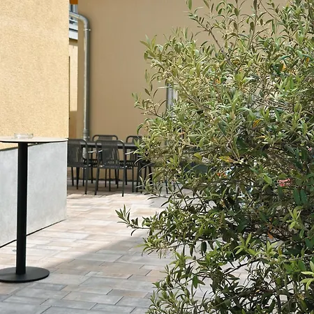 Traube Rheinhessen Hotel