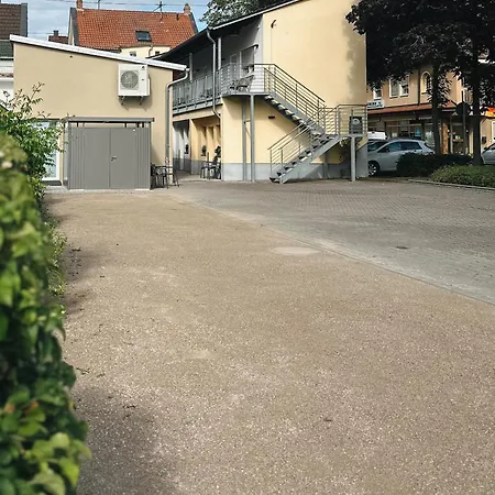 Traube Rheinhessen *