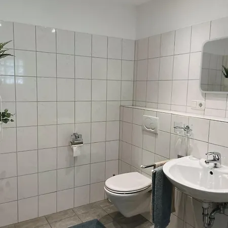 Hotel Traube Rheinhessen *