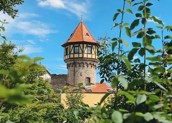 Traube Rheinhessen Hotel Worms
