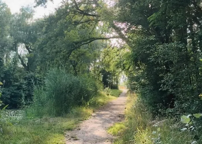 Hotel Traube Rheinhessen