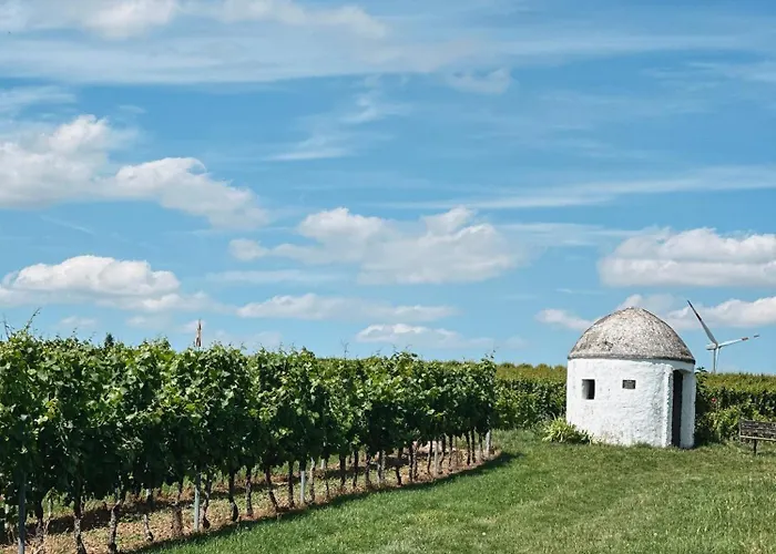 Traube Rheinhessen *