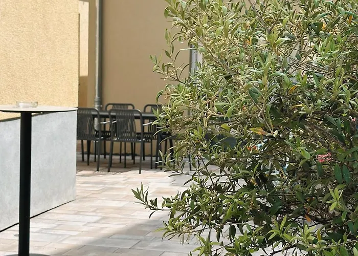 Traube Rheinhessen Hotel