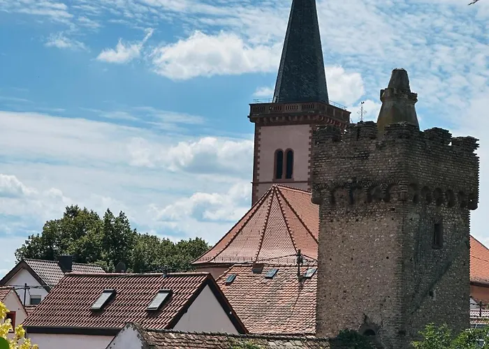 Traube Rheinhessen Hotel Worms