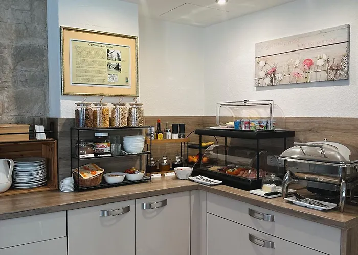 Hotel Traube Rheinhessen *