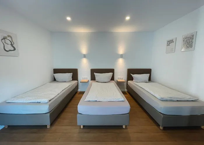 Traube Rheinhessen *