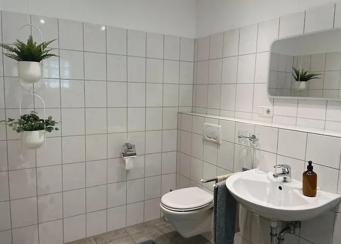 Hotel Traube Rheinhessen *